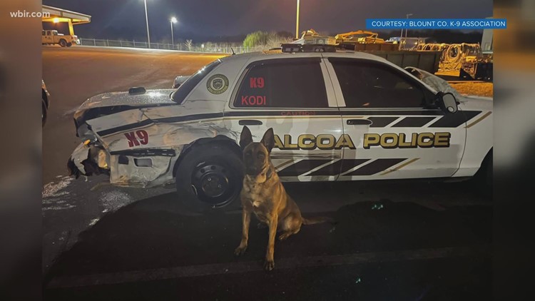 Driver faces charges after hitting Alcoa police cruiser Thursday night with K-9 unit inside