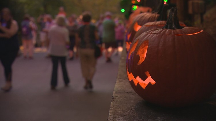 Autumn has arrived in East Tennessee! Here are the fall activities near you Autumn has arrived in East Tennessee! Here are the fall activities near you