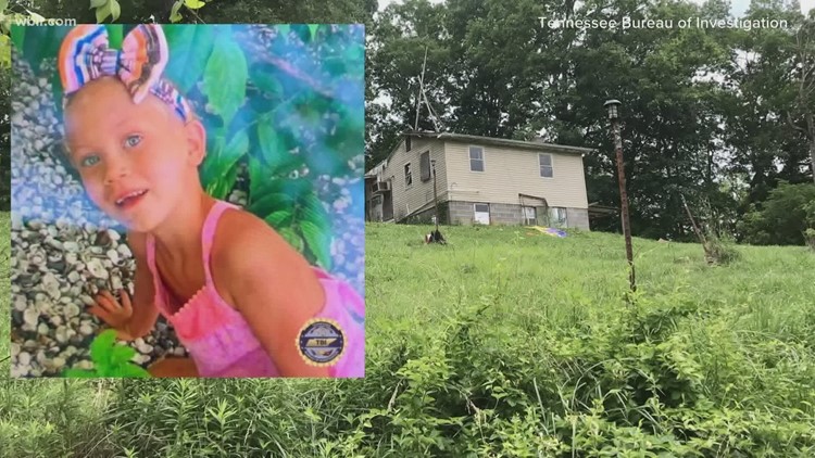 Texas group who helped look for Joe Clyde Daniels assisting in Summer Wells search