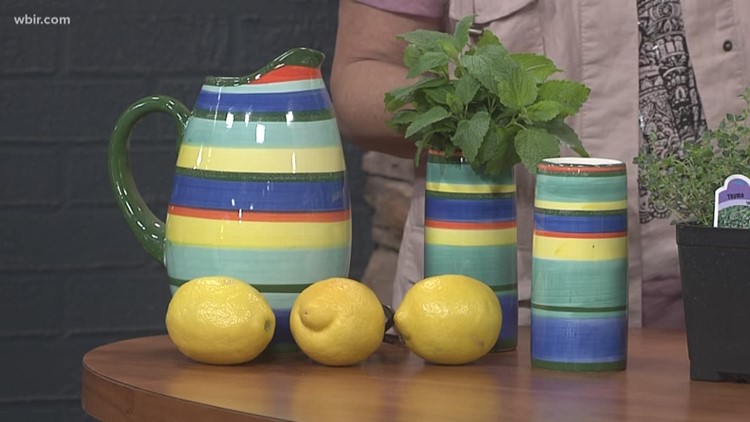 Life handing you lemons? Make lemon lasagna