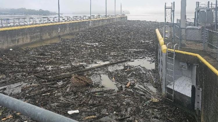 Water, water everywhere -- along with tons of debris on Tennessee River