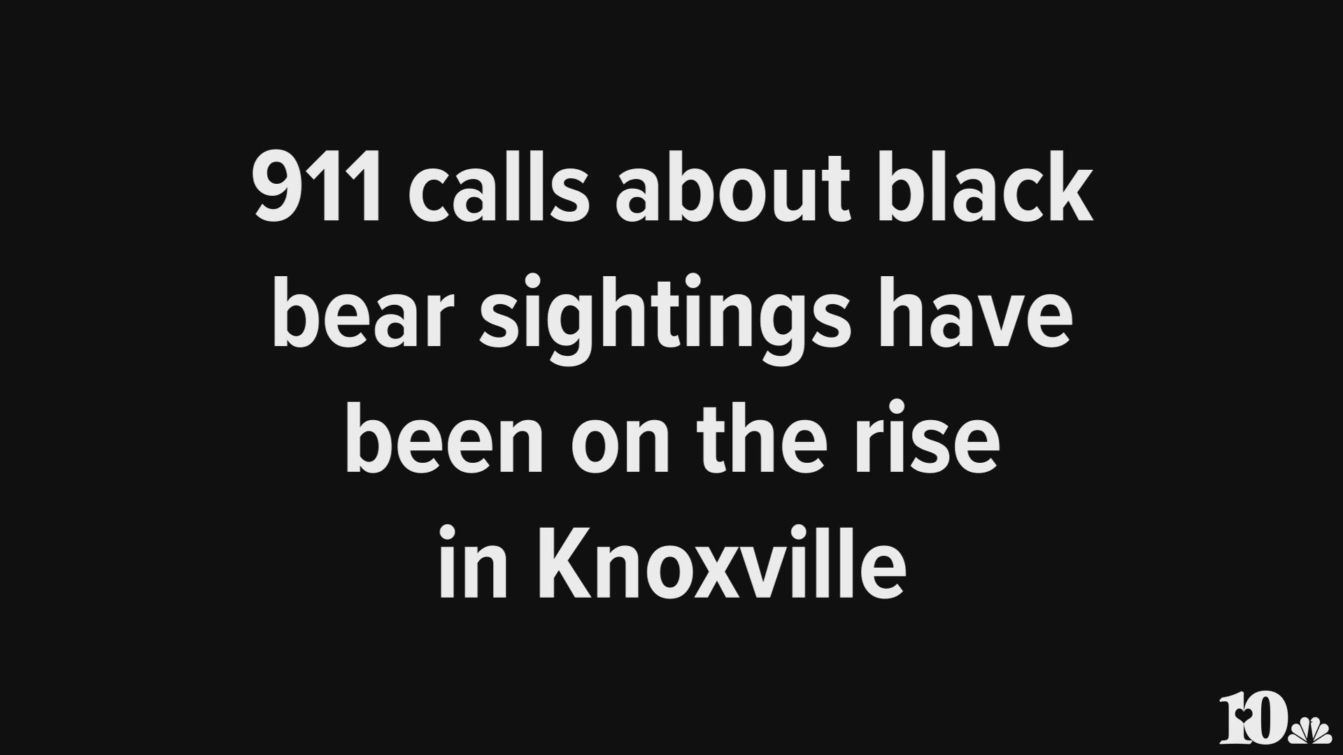The bear sightings were mostly in Downtown and North Knoxville.