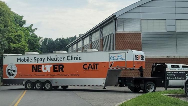 UT veterinarians sending mobile unit to Elizabethton to help pets impacted by Helene
