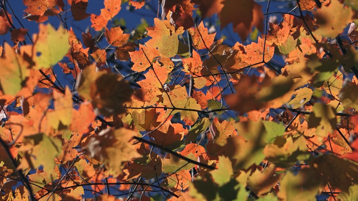 Popular places for fall foliage in the Great Smoky Mountains - Vimarsana News