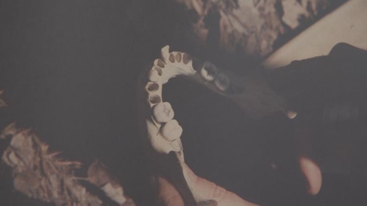 Appalachian Unsolved: The girl in the woods