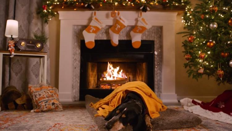 Cozy up with Smokey in new Yule log video released from UT