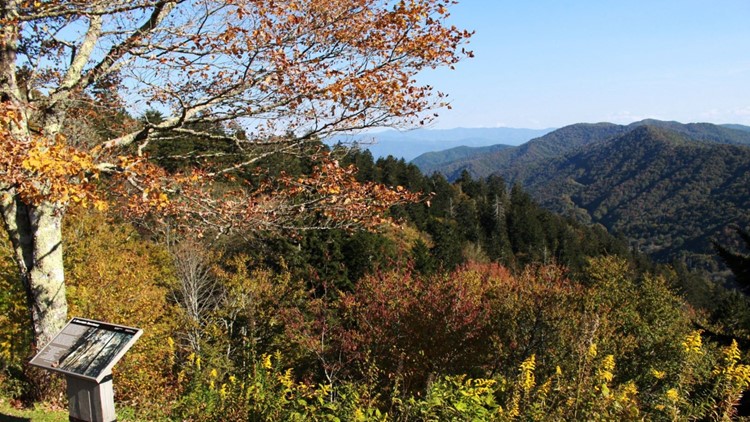 Blount County tourists spend around $477 million in the area during 2021