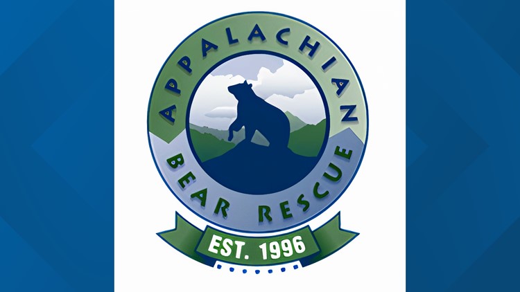ABR discusses bacterial infection that killed three bear cubs