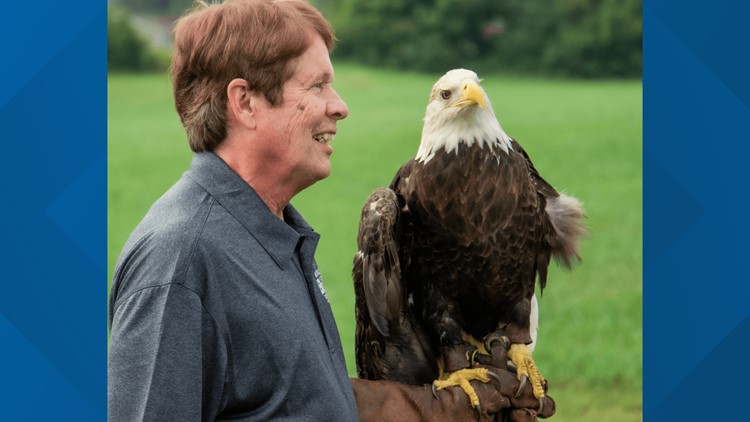 American Eagle Foundation mourns death of its original bald eagle, Osceola