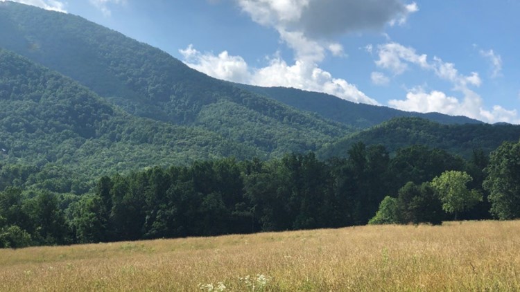 Wears Valley Mountain Bike Trail project moving forward in the Smokies