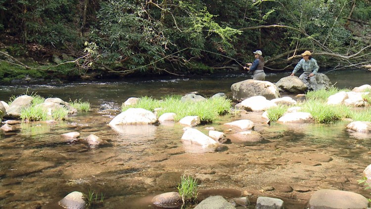 Chattanooga fly fishing companies benefit from new customers during pandemic