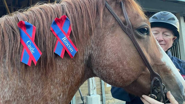 Group of veterans find healing on horseback in Kentucky, remember service members lost to suicide