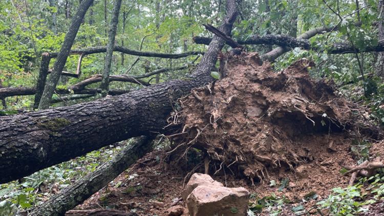 500 downed trees removed from Cumberland Gap National Historic Park trails