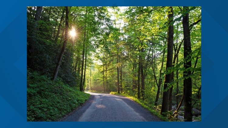 GSMNP: Historic Parson Branch Road reopens after 6-year closure