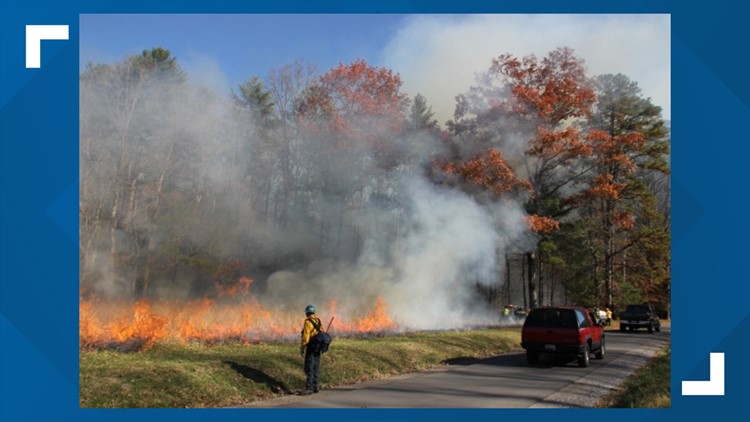Prescribed burns planned in Cades Cove area starting Feb. 13