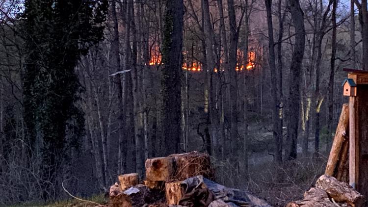 Rural Metro Fire crews responding to brush fire in South Knox County area Saturday night