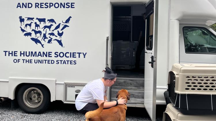 US Humane Society transporting pets out of upper East TN shelters, helping make room for displaced animals