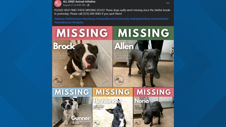 Texas man arrested for breaking into animal shelter and freeing nearly 150 dogs, police say