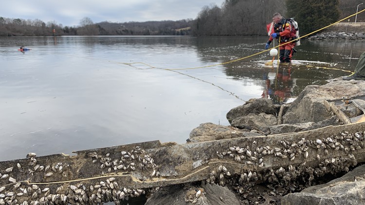 What lies beneath: East TN lake offers relaxation, recreation for many. And sorrow for some