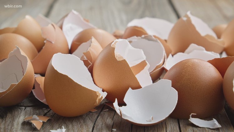 Eggs sold at Tennessee Costco locations recalled for possible salmonella contamination