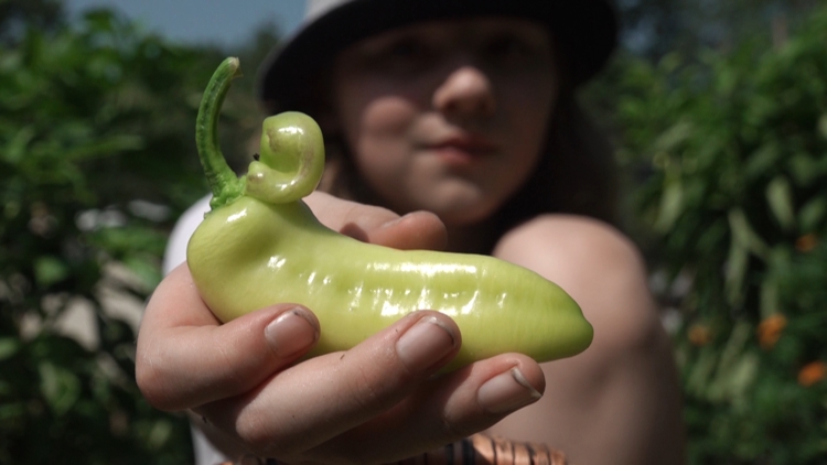 Community Garden Project teaches children with autism while helping local food pantries