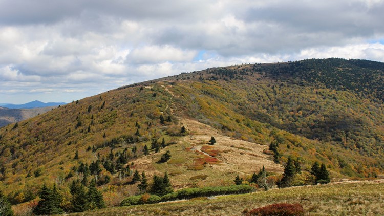 Crews to conduct controlled burns in Monroe County area of Cherokee National Forest