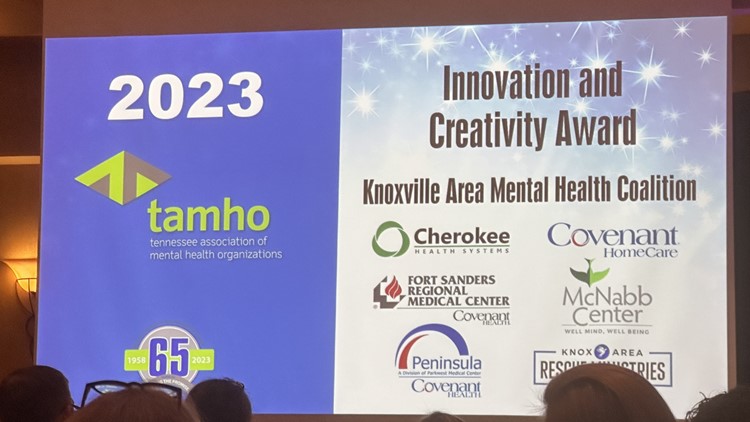 Coalition of Knoxville-area mental health providers receives state award