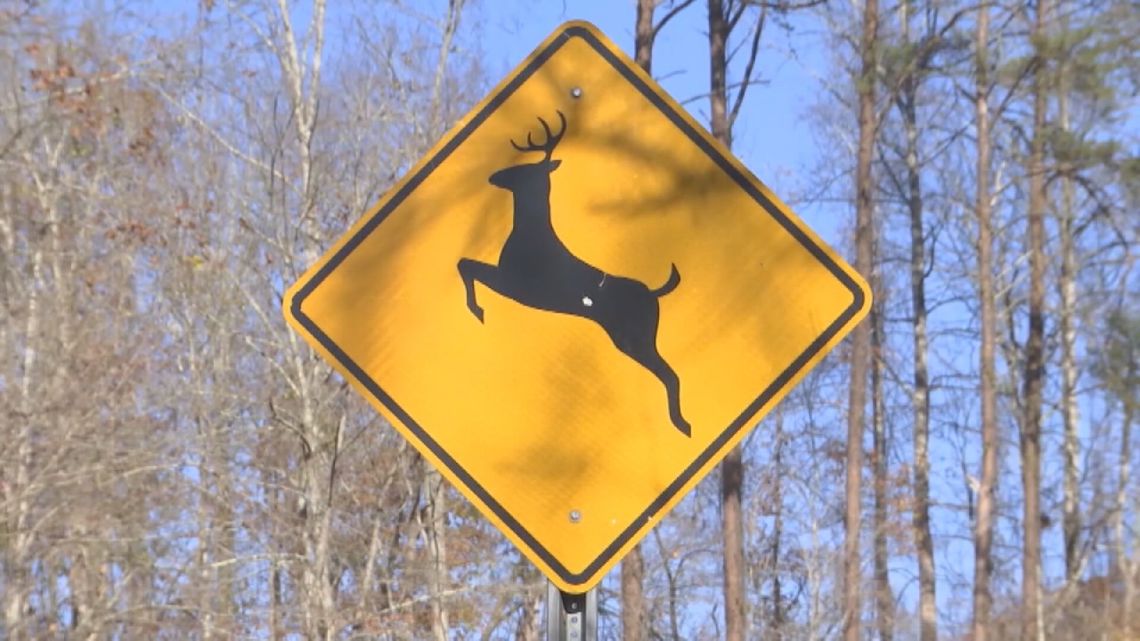 Alabama drivers warned as deer collisions rise in fall and winter