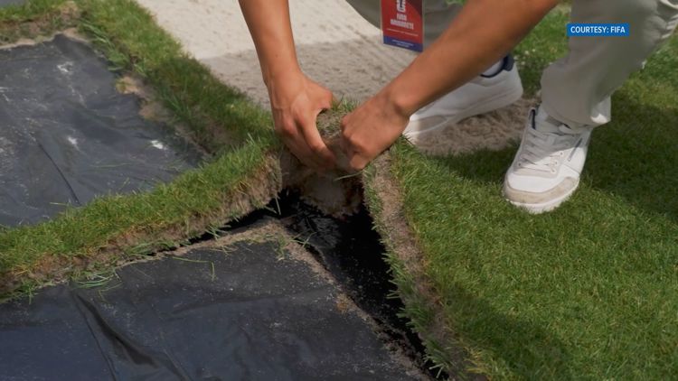 UT collaborating with Michigan State to make perfect turf grass for 2026 FIFA World Cup