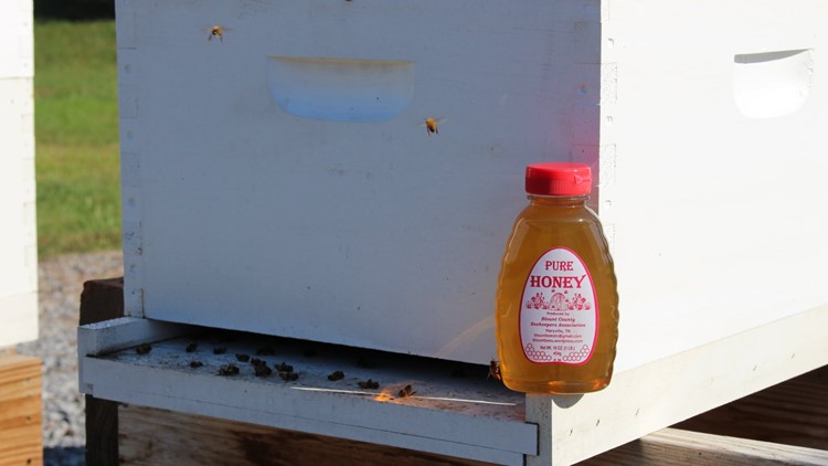 Sweet partnership: First honey harvest from bee hives installed at Blount Co. Ops Center a success