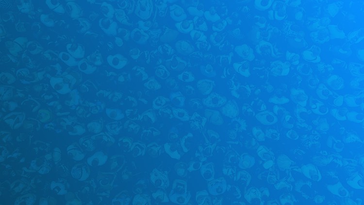 More Than a Number: Resource guide for victims