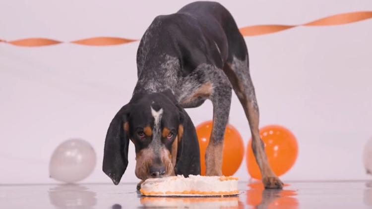Smokey XI celebrates first birthday