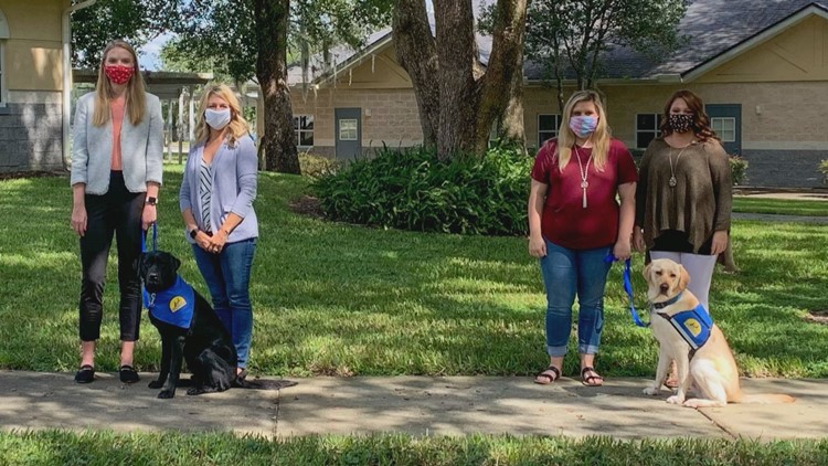 Two Child Advocacy Centers receive service dogs from the same litter