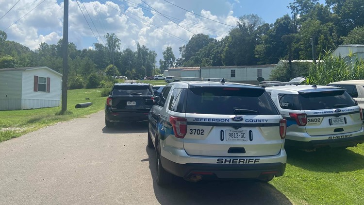 Deputies take person into custody after standoff in Strawberry Plains mobile home park