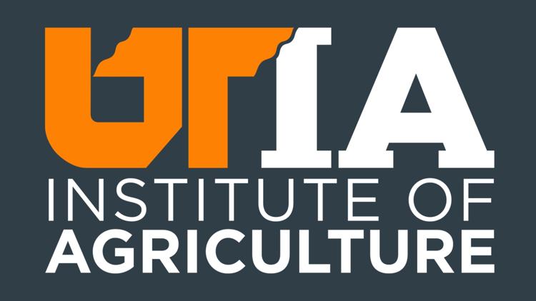 UT Turfgrass Team receives national award for impact in turf industry, helping care for golf courses, sports fields and more