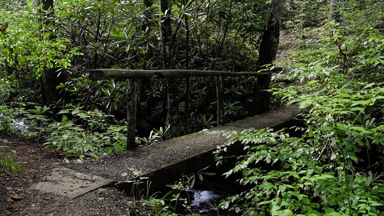 10Explores: Elkmont Nature Trail