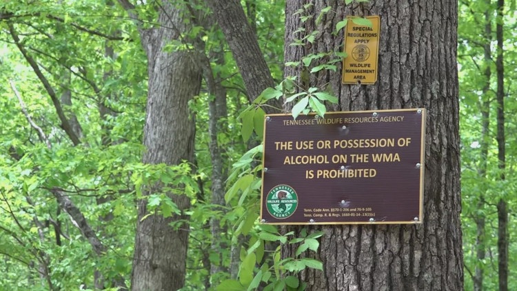 Alcohol banned in TWRA wildlife management areas to prevent crashes