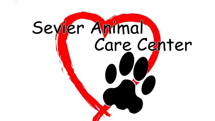 Sevier Animal Care Center closed Tuesday after puppy tests positive for parvovirus