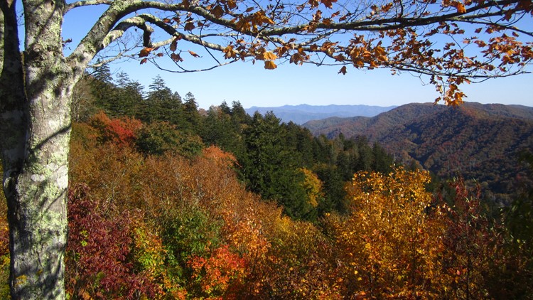 2023 Fall Foliage: Where you can see them, when to expect them