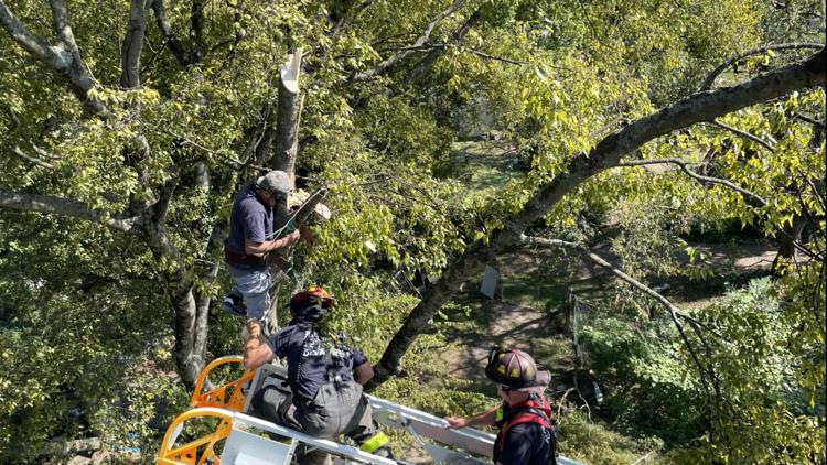 KFD rescues man stuck in tree on Vermont Ave