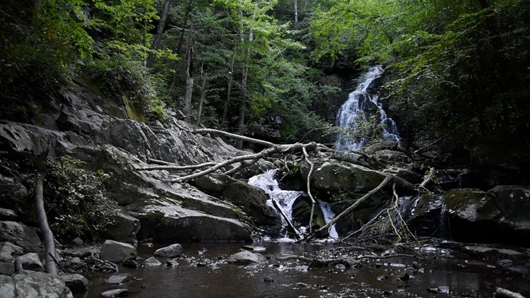 10Explores: Spruce Flat Falls 10Explores: Spruce Flat Falls