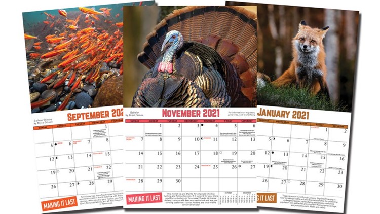 Entries being accepted for 2022 TWRA Calendar Photo Contest