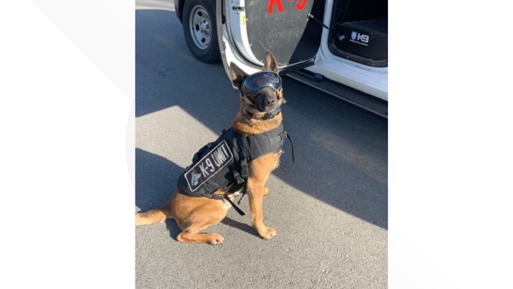 The Morristown Police Department announces the retirement of police K-9, Riot
