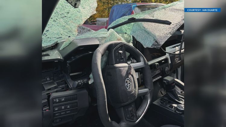 Knoxville couple recovering after loose tire hits their pickup truck while driving in Alabama, severely injuring man