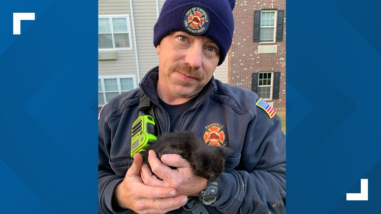 Knoxville Fire Department rescues kitten stuck in storm drain