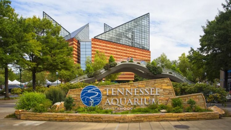 Several children injured in escalator incident at Tennessee Aquarium on Monday