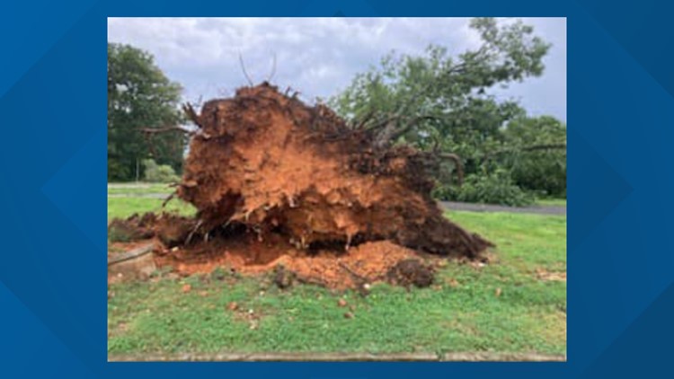 Lakeshore Park will temporarily closes due to weather damage