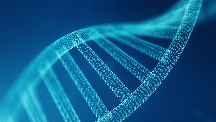 VERIFY: No, las vacunas del coronavirus no alteran tu ADN