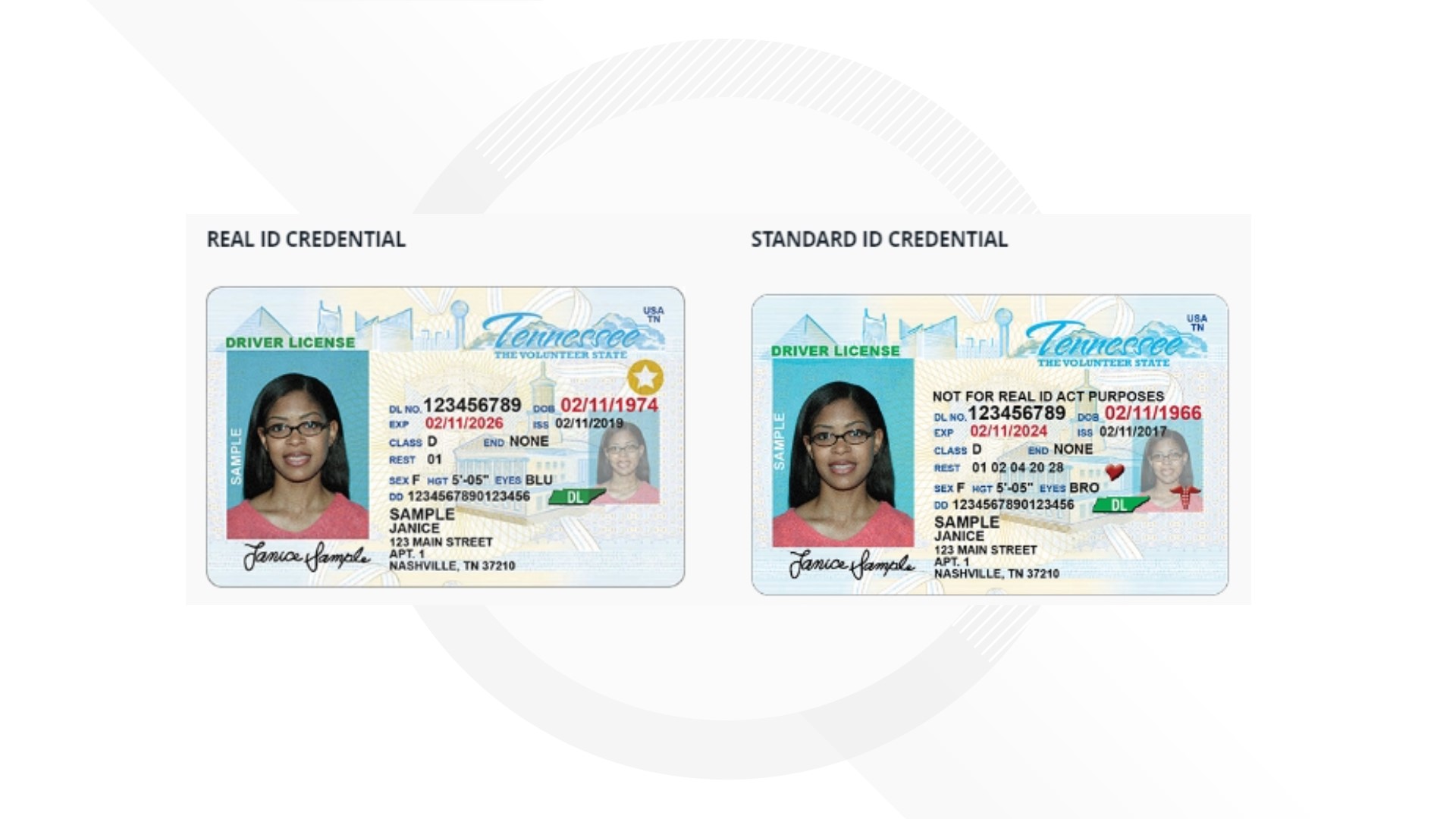 Here's what you need to know about the REAL ID in Tennessee ...