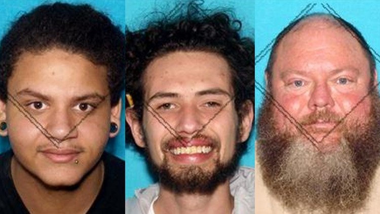 HCSO: Deputies find marijuana plants, buried weapon parts after pulling over car